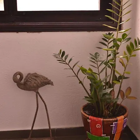 The House סמוליאן